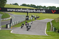 Evening Low_Mid Group Black Bikes